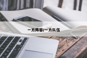 一方阵容/一方队伍