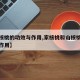 【山核桃的功效与作用,家核桃和山核桃的功效与作用】