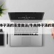 牛肉柿子汤的家常做法/牛肉柿子汤的家常做法砂锅