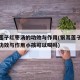 银耳莲子红枣汤的功效与作用(银耳莲子红枣汤的功效与作用小孩可以喝吗)