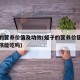 蛏子的营养价值及功效(蛏子的营养价值及功效小孩能吃吗)
