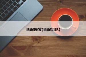 匹配阵容(匹配组队)