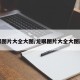 龙眼图片大全大图/龙眼图片大全大图画画