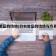 羽衣甘蓝的功效(羽衣甘蓝的功效与作用及禁忌)