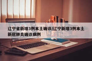 辽宁省新增3例本土确诊/辽宁新增3例本土新冠肺炎确诊病例