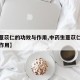 【生薏苡仁的功效与作用,中药生薏苡仁的功效与作用】