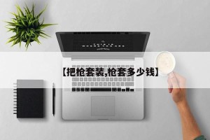 【把枪套装,枪套多少钱】