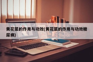 黄花菜的作用与功效(黄花菜的作用与功效糖尿病)