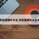 【羊肚菌图片大全,羊肚菌图片大全大图】