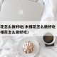 木槿花怎么做好吃(木槿花怎么做好吃 美味的木槿花怎么做好吃)
