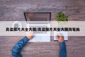 高粱图片大全大图/高粱图片大全大图简笔画