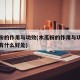 木瓜粉的作用与功效(木瓜粉的作用与功效对女人有什么好处)