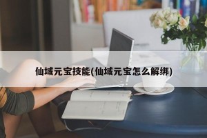 仙域元宝技能(仙域元宝怎么解绑)