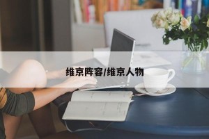 维京阵容/维京人物