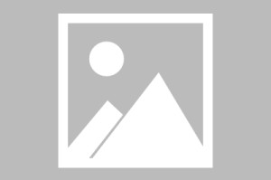 31省新增18境外输入/31省区市新增境外输入1