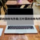三叶草的功效与作用/三叶草的功效与作用主治