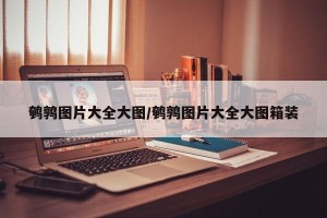 鹌鹑图片大全大图/鹌鹑图片大全大图箱装