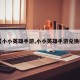 【小小英雄手游,小小英雄手游兑换码】