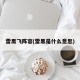 雷黑飞阵容(雷黑是什么意思)