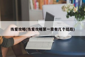 拣爱攻略(拣爱攻略第一章有几个结局)