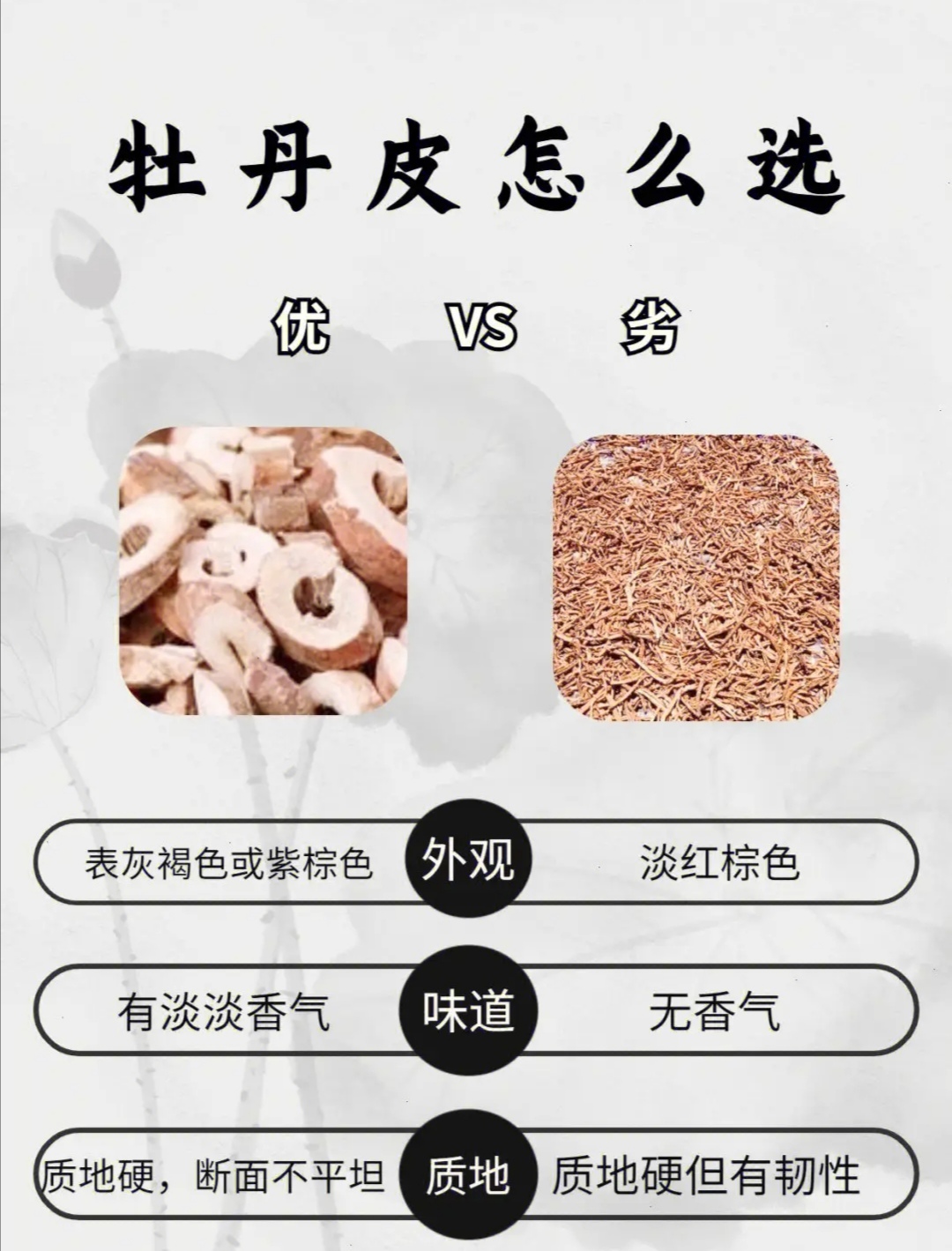 牡丹皮的功效/牡丹皮的功效与副作用禁忌是什么-第1张图片