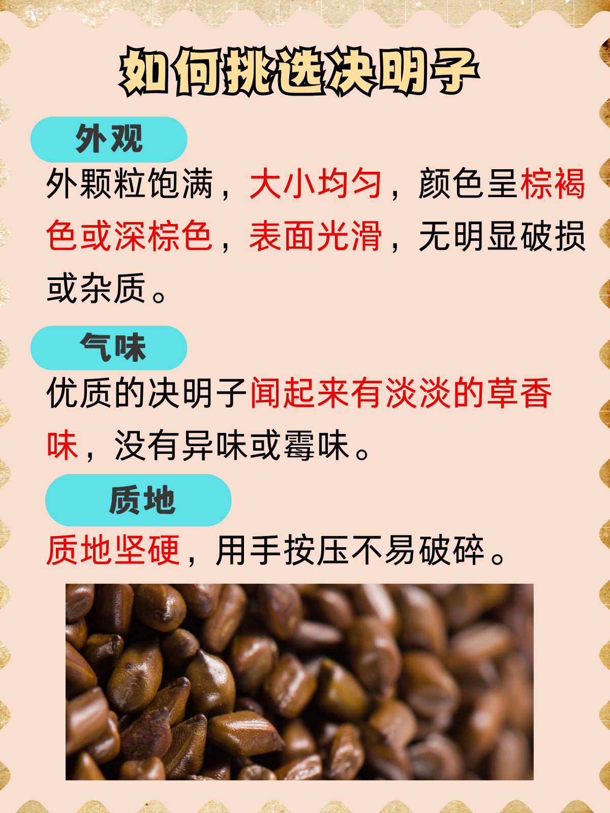 【决明子的功效,决明子的功效与作用及副作用禁忌】-第2张图片