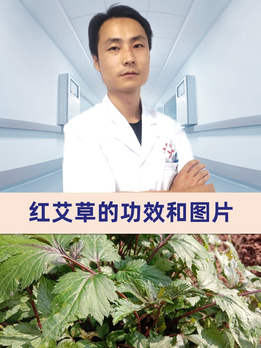 【艾草煮水喝的功效,山楂艾草煮水喝的功效】-第2张图片