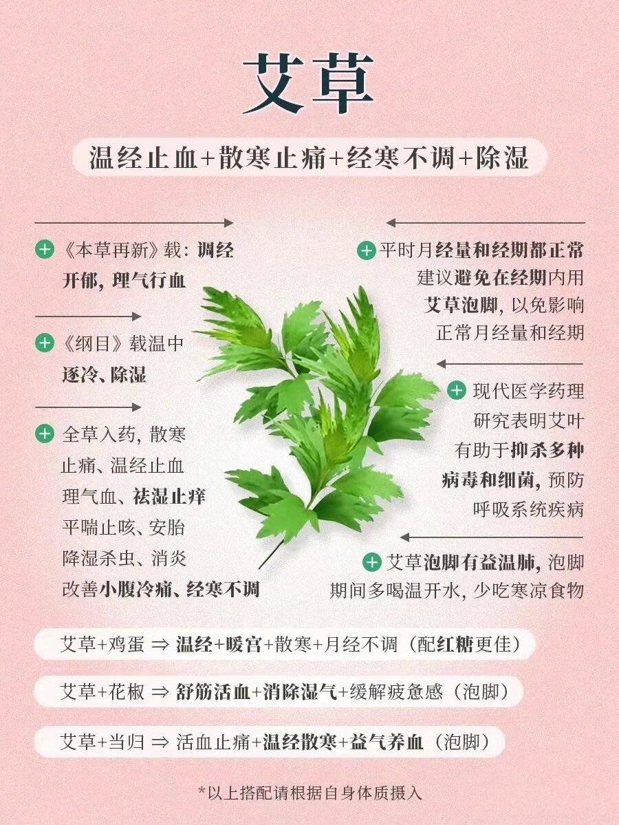 檀香的作用与功效/艾草的作用与功效-第2张图片