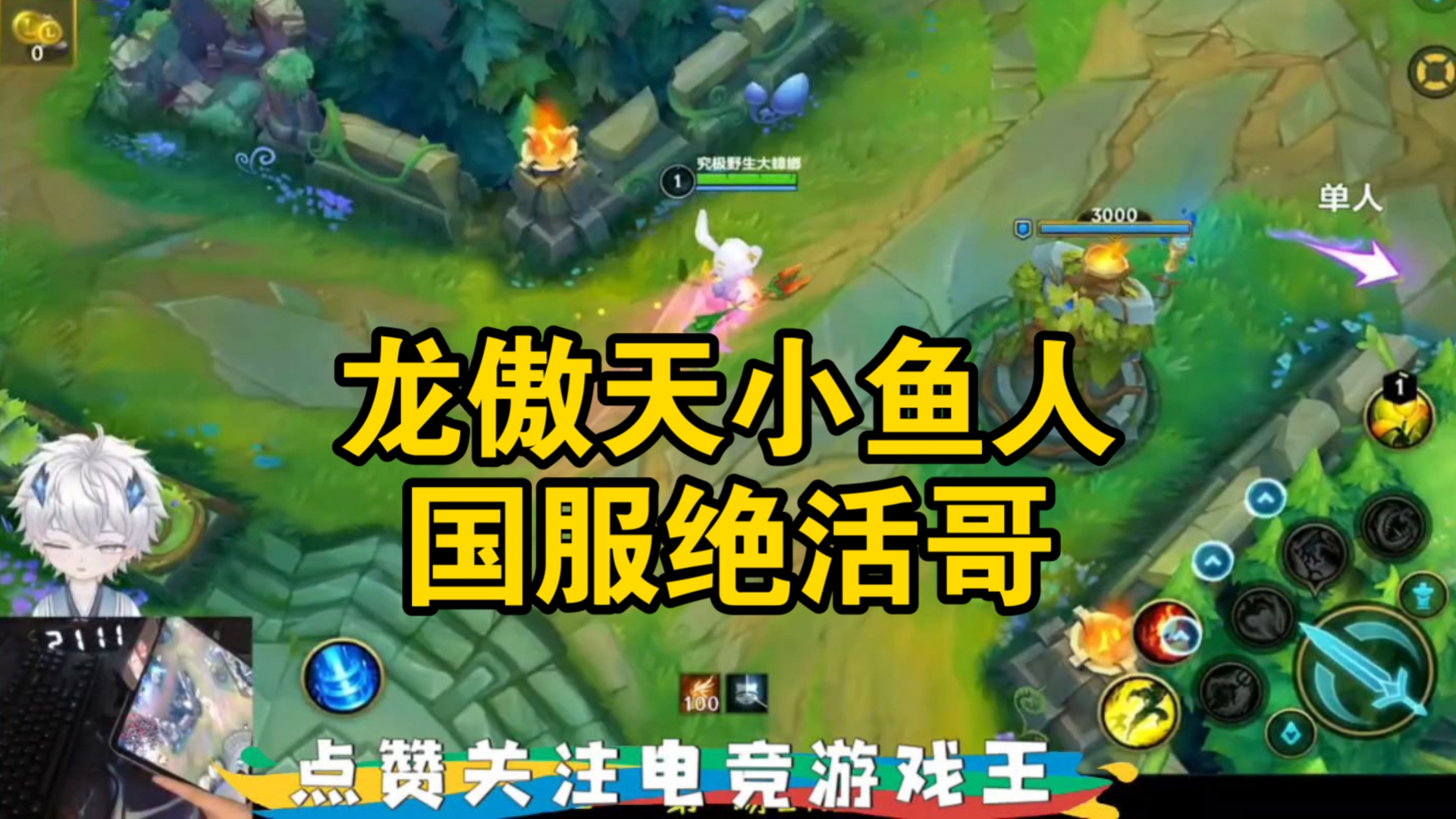lol小鱼人技能(lol小鱼人大招改动)-第1张图片