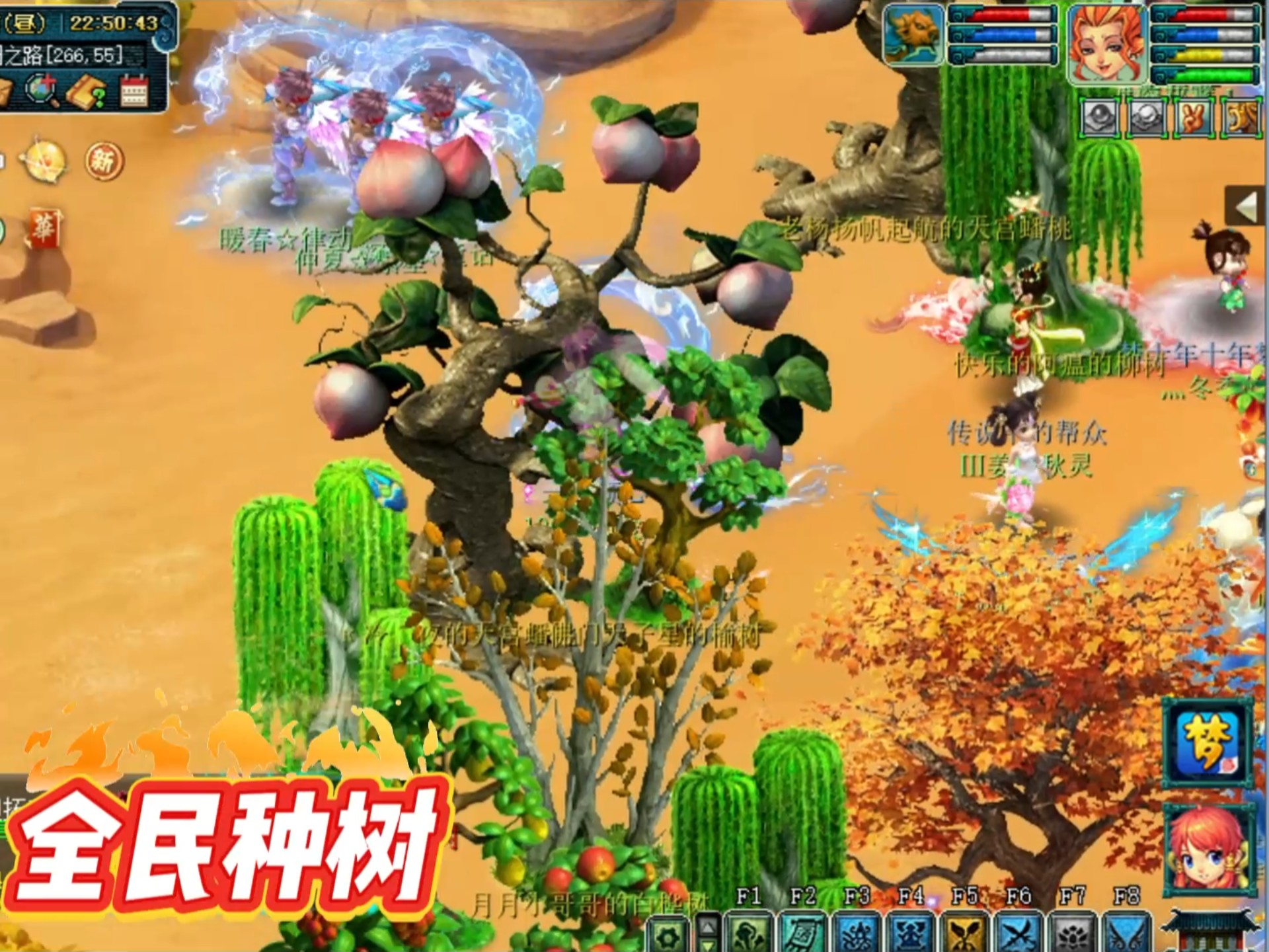 【梦幻西游摇钱树苗种植攻略,梦幻种摇钱树摇10次以上攻略】-第1张图片