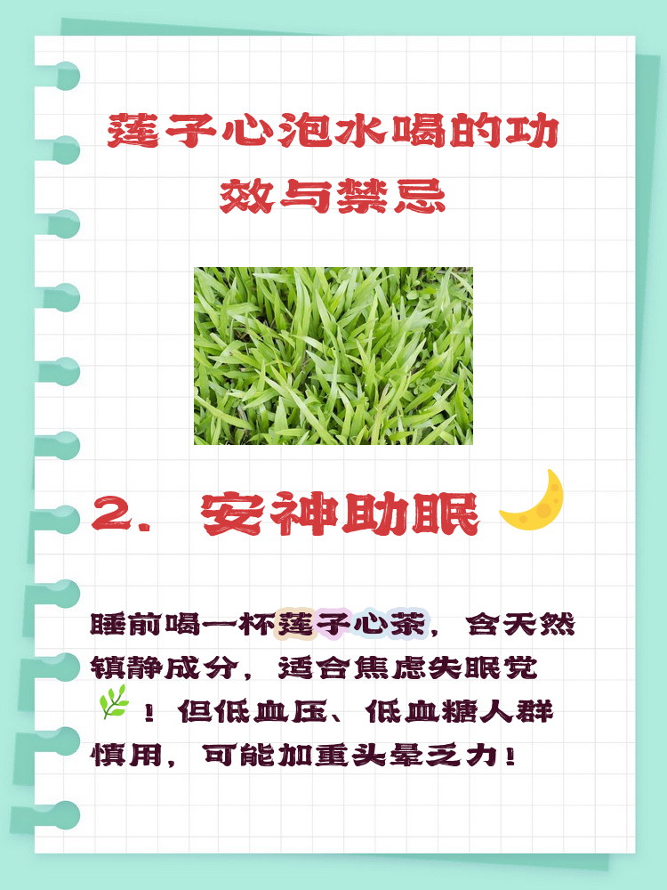 莲子芯的功效与作用(莲子的功效与作用)-第3张图片
